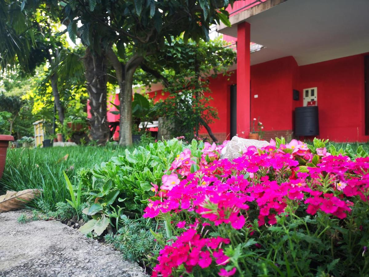 Apartments Zimerman Portorož Dış mekan fotoğraf